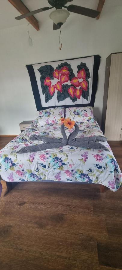Hostal Henua Roa Hanga Roa Kültér fotó
